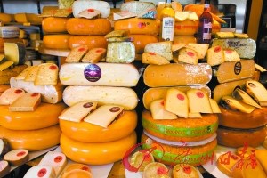 荷蘭的奶酪聞名遐邇。