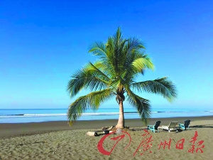 太平洋沿岸嘆陽光海灘。