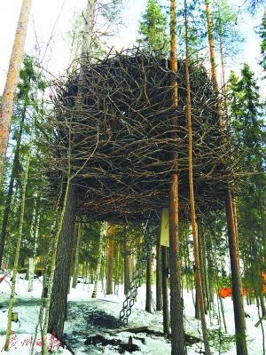 圖②：“鳥巢”客房，形如其名，唯一能將它與樹林中真正的鳥巢區(qū)分開來的是它大得多的體積?？头康拇皯綦[藏在枝丫間，很難被發(fā)現(xiàn)。這是一間擁有現(xiàn)代設(shè)計感的標(biāo)準(zhǔn)客房。房間有四張睡床，完全可以容納一個家庭入住。