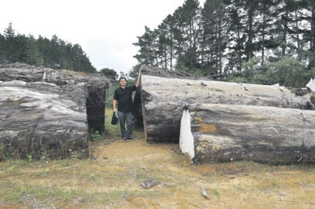 (新西蘭《中文先驅(qū)報(bào)》)