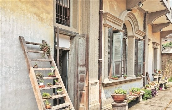 屋外種植的綠色植物為洋樓增添生機。