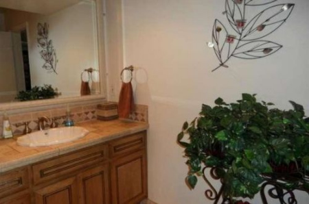 (美國《qiao》) (美國《qiao》)