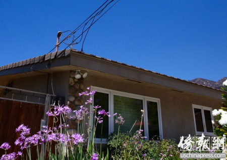  王寶強(qiáng)與馬蓉的宅邸窗前的花開(kāi)得很艷麗。（僑報(bào)記者邱晨攝）