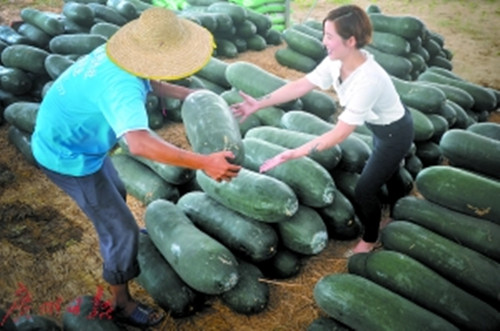 張雯雯看到豐收的瓜果，抑制不住興奮的心情。
