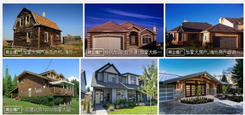圖為某網(wǎng)站上的海外地產(chǎn)推介。