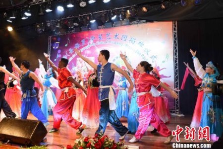 圖為：巴西朋友表演中國(guó)功夫?！∧尚邸z