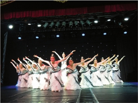 美麗的“丹頂鶴”飄然而降翩翩起舞。(資料圖)