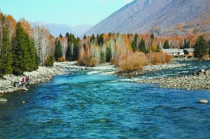 喀納斯的秋景被國外旅游界評為世界十大自然景觀之一。