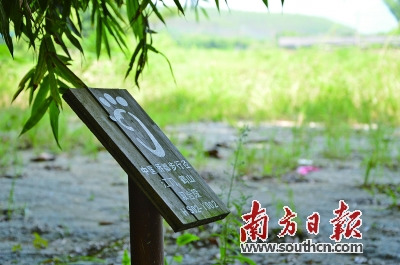 江門鶴山雙合段潮人徑標(biāo)識(shí)。 南方日?qǐng)?bào)記者 潘偉珊 攝