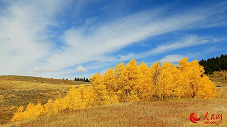 美國(guó)秋日里的大提頓國(guó)家公園。（勞動(dòng)攝）