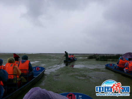 威寧草海眾舟齊發(fā)，水上漂浮一大片顆粒狀、似乎是藻類的植物，覆蓋了廣大而清澈的湖面，以致變身綠湖。