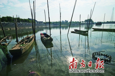 黃埔古港興衰見(jiàn)證貿(mào)易變遷。嚴(yán)亮 攝