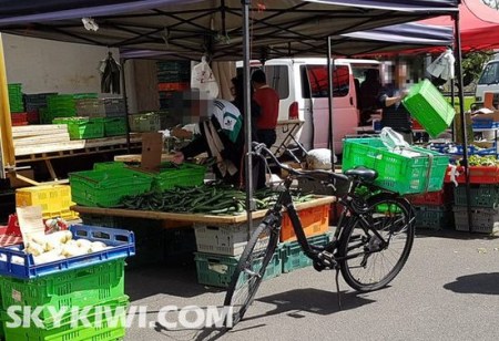 圖中戴頭盔者為姚老伯，而前面的自行車，即為菜園主人所說的用來(lái)裝菜的車子。（新西蘭天維網(wǎng)圖片）