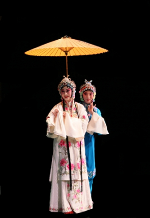 京劇《白蛇傳》演出現(xiàn)場 (英國《華聞網(wǎng)》)