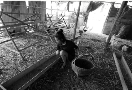 雞鴨吃什么，都有一套嚴(yán)格的標(biāo)準(zhǔn)。