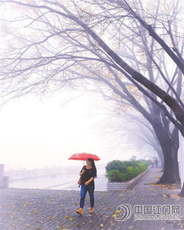 “霧中行”。