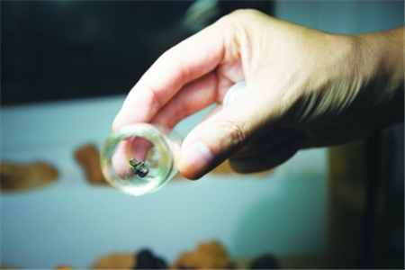  一尊裝在小瓶內(nèi)的沉香料的雪山大士佛像，木料珍貴、雕刻精巧，這樣的木雕作品基本是論克在賣。