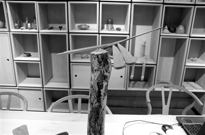 充滿創(chuàng)意的木蜻蜓