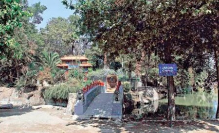 雜草叢生的中國(guó)公園