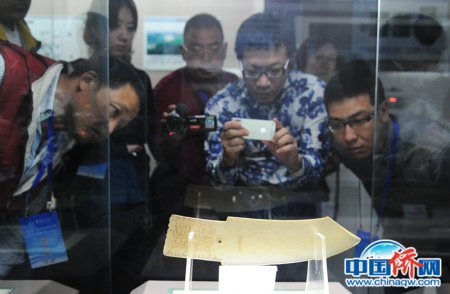 參加海外華媒高層采訪團(tuán)甘肅行