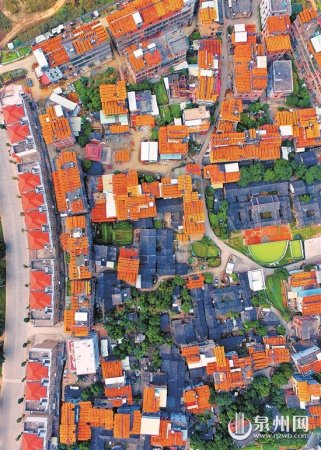 空中俯瞰，滿村曬柿人家盡是“黃金屋”。