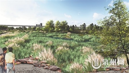 生態(tài)濕地 引潮筑溪，利用晉江流域潮起潮落的特性，根據(jù)原場地地形地貌，因地制宜于低洼處順勢理水，辟水一灣，潮起時有深潭、潮落時有淺灘，水系形態(tài)曲折蜿蜒，并于水系中置島若干，雖由人作，宛若天開。還原濕地生境，再造動植物共生共存的生態(tài)系統(tǒng)，人與自然和諧共處。