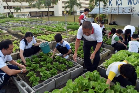 師生們與義工們?cè)诓似砸黄鸸ぷ?，因?yàn)橛辛艘粋€(gè)共同目標(biāo)，無(wú)形中促進(jìn)了彼此之間的情誼。（馬來(lái)西亞《星洲日?qǐng)?bào)》）