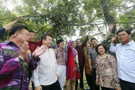 黃惠康（右五）與夫人趙舒美（右六）首次觸摸到長在樹上的榴梿，大感興趣。（馬來西亞《星洲日報》）