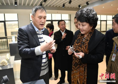 2017年1月24日，國(guó)務(wù)院僑務(wù)辦公室主任裘援平（圖右）來(lái)到長(zhǎng)沙“僑夢(mèng)苑”考察僑資企業(yè)，感受“僑商智造”。<a target='_blank' >中新社</a>記者 楊華峰 攝 