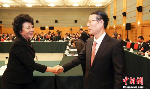 3月4日，中共中央政治局常委、國務(wù)院副總理張高麗與對外友好界委員裘援平握手。當(dāng)日，張高麗看望出席全國政協(xié)十二屆五次會議的致公黨、僑聯(lián)、對外友好界委員，并參加聯(lián)組討論。 <a target='_blank' >中新社</a>記者 楊可佳 攝