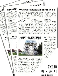 《紅楓林·深圳版》版面。