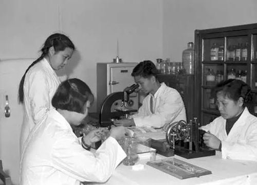 醫(yī)療系胚胎學(xué)青年教師進(jìn)行科學(xué)研究。(<a target='_blank' >中新社</a> 陳一能 攝)