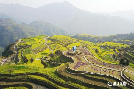 詩(shī)畫小舟山，高山梯田油菜花漫山遍野。