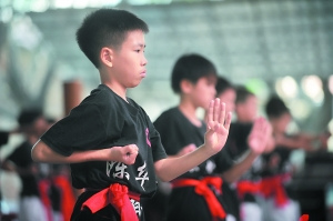 佛山的武術(shù)文化是影視產(chǎn)業(yè)可以挖掘的題材。