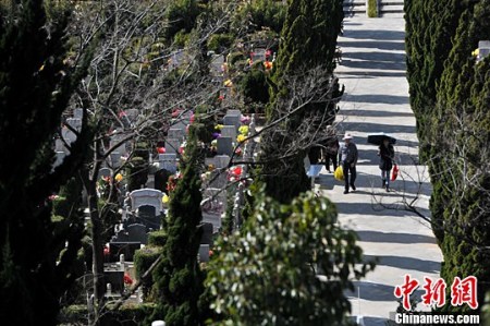 民眾前來掃墓。<a target='_blank' >中新社</a>記者 任東 攝