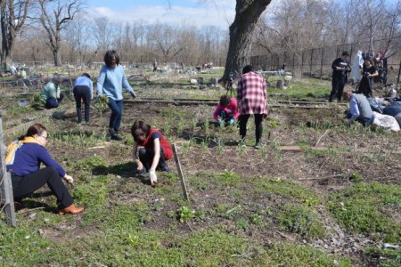 不少華裔民眾樂當(dāng)農(nóng)民，僅有的300多塊地每年都供不應(yīng)求。（美國《世界日報(bào)》/牟蘭 攝）