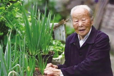 110歲的汪阿葉(女)是目前永嘉最年長的老人。 葉新人 攝