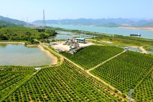 官?zèng)_窯遺址現(xiàn)在已經(jīng)變成了農(nóng)田林地。