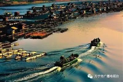 夕陽斜下，水面上忙碌的漁民依舊如梭。