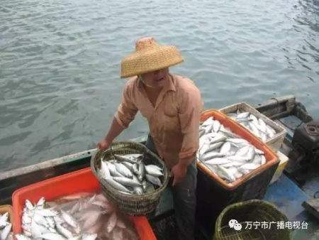 買賣間交流，好生熱鬧。