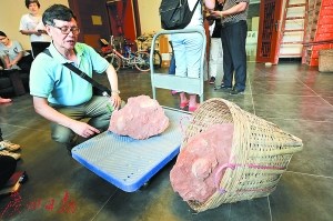 邱立誠介紹恐龍蛋情況。