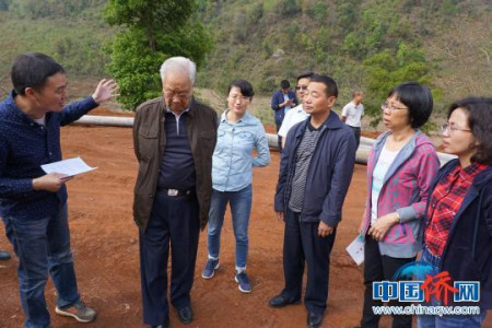 圖為加拿大僑領(lǐng)霍宗杰等正在云南考察。鐘欣 攝