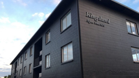 LeAnne Chew位于奧克蘭Kingsland的公寓。