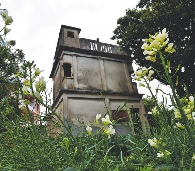 當(dāng)年的建在村南口龍眼密林中的堞樓，系當(dāng)年用于防匪患的。