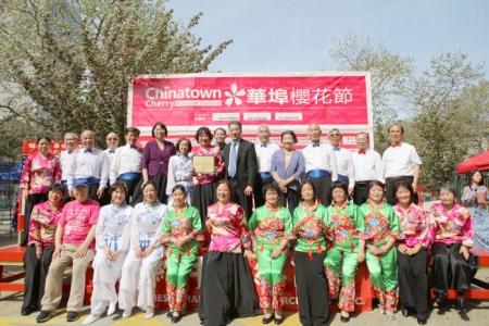 第七屆“華埠櫻花節(jié)”29日熱鬧舉行。(美國《世界日報》)