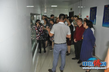 圖為僑商在雙匯集團考察。林浩 攝