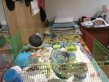 范洋浦家中“小實(shí)驗(yàn)室”照片。(范洋浦家屬提供)