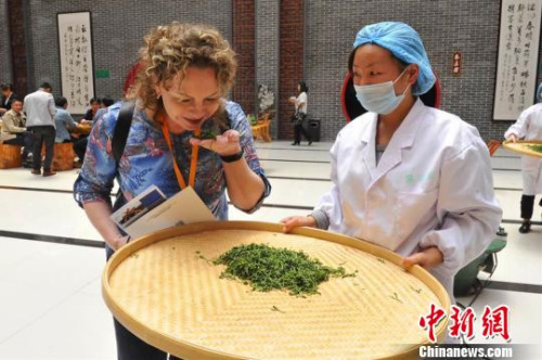 海外客商品嘗五峰茶葉?！＄娦?攝