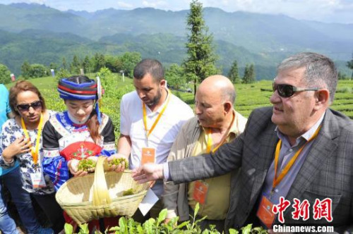 采購(gòu)商大會(huì)吸引眾多海外客商參加?！＄娦?攝