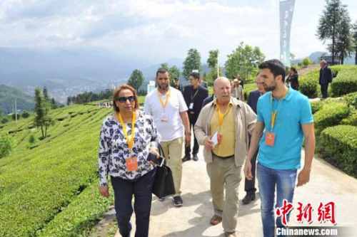 國(guó)際客商參觀五峰土家茶園。　鐘欣 攝